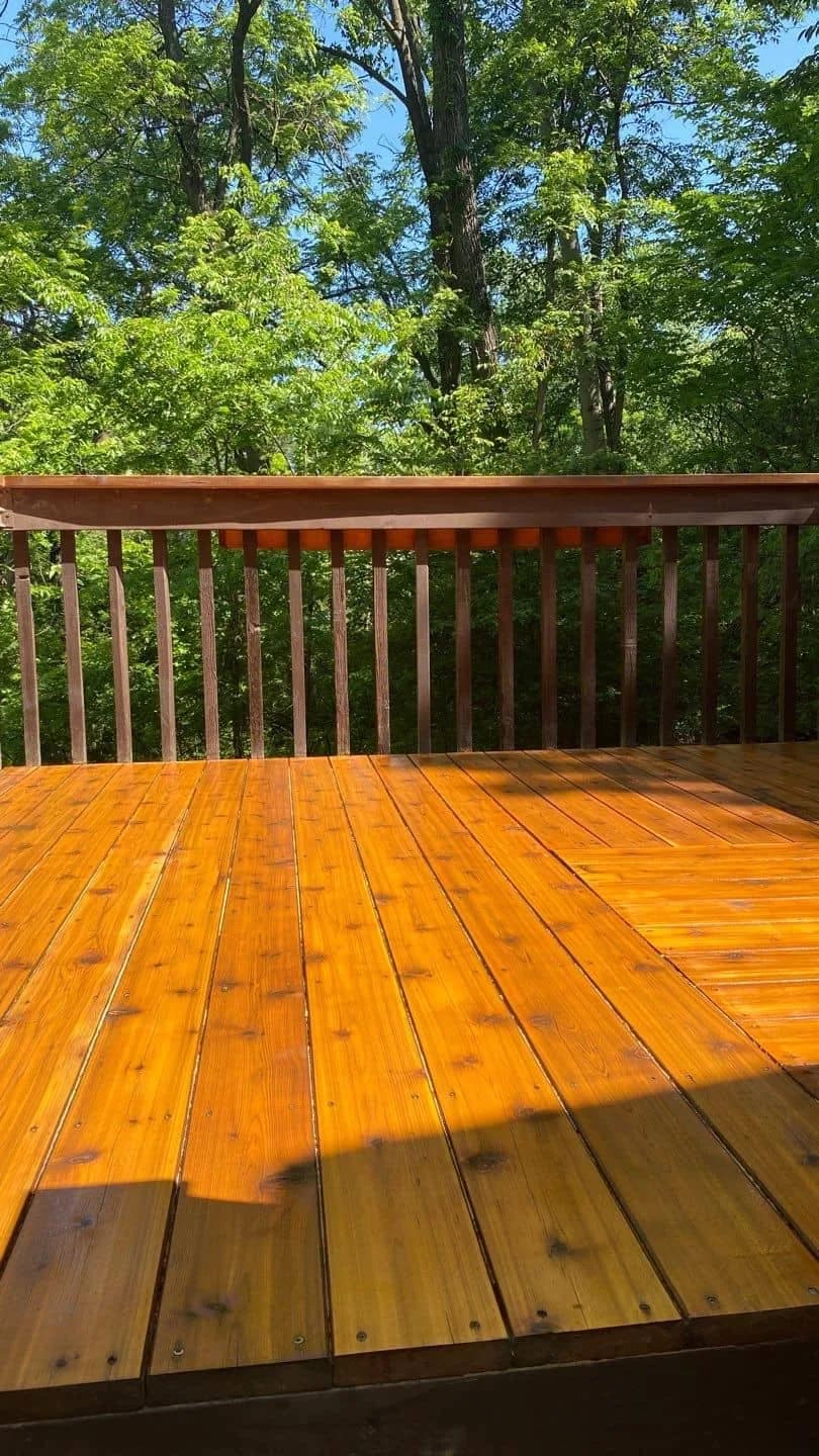 Deck & Fence Staining