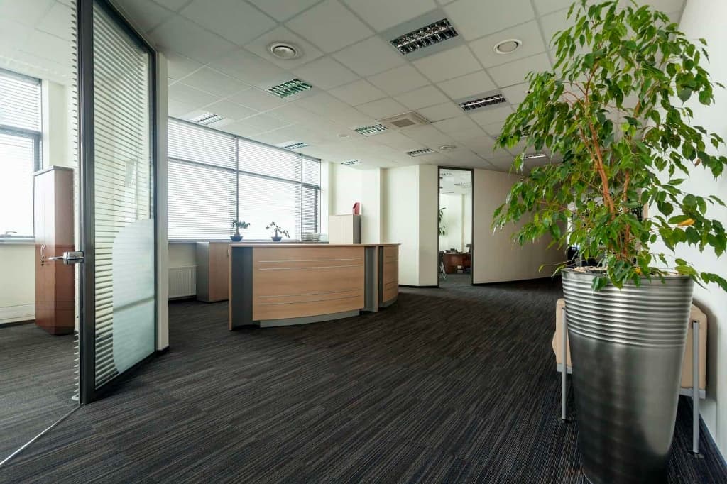 Office Reception Repaint